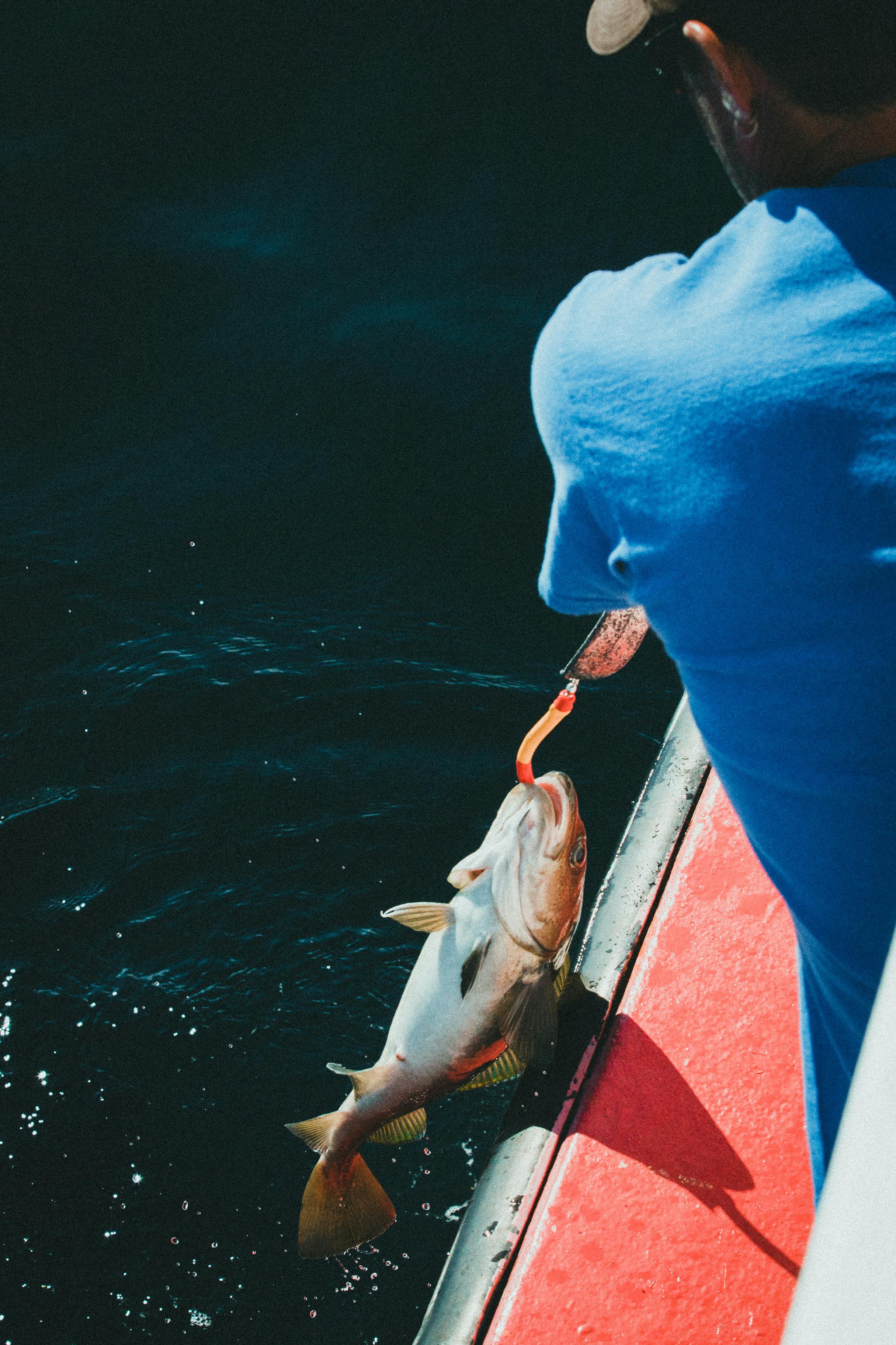 Fishing boat charter